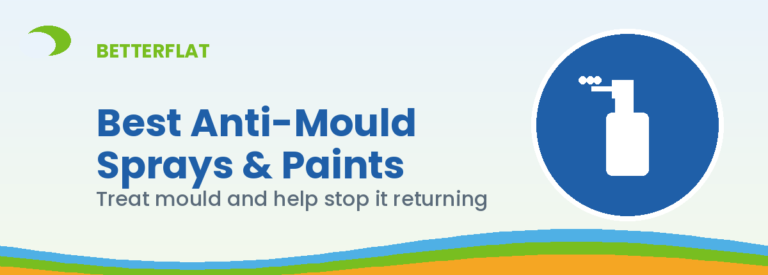 Illustration: best anti mould sprays — BetterFlat