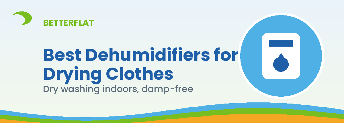 Illustration: best dehumidifiers drying clothes — BetterFlat