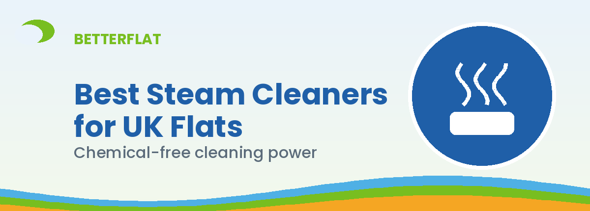 Illustration: best steam cleaners bathrooms — BetterFlat