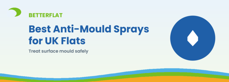 Best Anti-Mould Sprays for UK Flats — BetterFlat buying guide banner